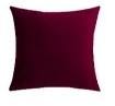Products: Bordeaux Red - Velvet Cushion darbyandgrey