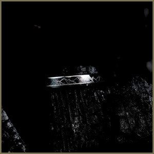 4mm Polished Stainless Steel Ring