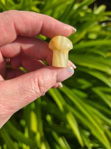 Mushrooms: Banded Calcite Mini Mushroom