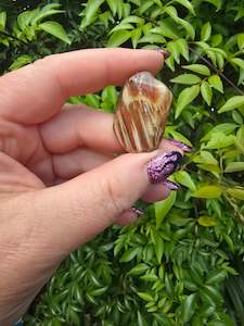 Amphibole Polished Piece A