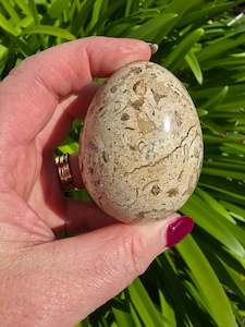 Fossil Egg