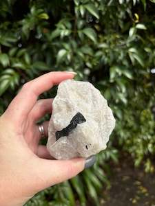 Rough Raw: Black Tourmaline & Quartz Rough Piece G