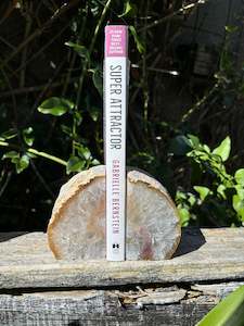 Natural Agate Bookends A