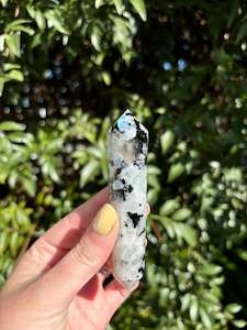 Rainbow Moonstone Vogel Wand B