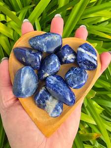 Tumbled Stones: Sodalite Tumbled Stone Medium