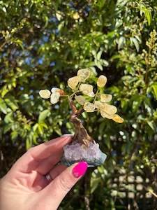 Citrine With Amethyst Druze Base Tree Small A