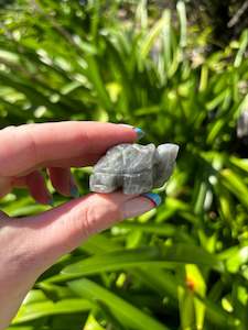 Animals: Labradorite Turtle