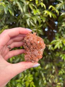 Clusters: Aragonite Sputnik Cluster D