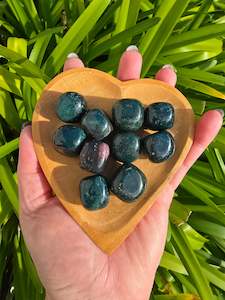 Bloodstone Tumbled Stones 10 pack valued at $40