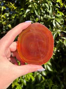Slabs Slices: Agate Slice | Orange A