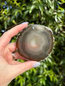 Slabs Slices: Agate Slice | Brown M