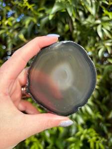 Slabs Slices: Agate Slice | Brown H