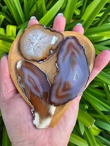 Slabs Slices: Agate Slice | Brown Medium