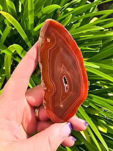 Agate: Agate Slice | Orange G