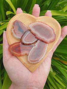 Agate: Agate Slice Orange | Small