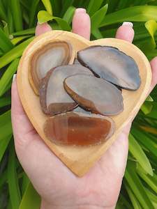Agate: Agate Slice Brown | Small
