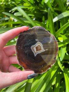 Agate: Agate Slice | Brown F