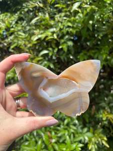 Crystals: Druzy Agate Butterfly Piece C