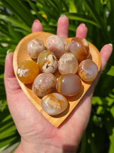 Tumbled Stones: Flower Agate Tumbled Stone