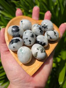 Tumbled Stones: Rainbow Moonstone Medium Tumbled Stone