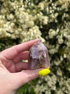 Super Seven Point C | CHIPPED