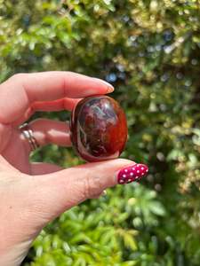 Palmstones: Carnelian Polished Palm Stone D
