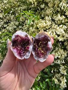 Geode Caves: Quartz Geode Pair | Pink
