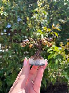 Other: Tigers Eye Tree Small A