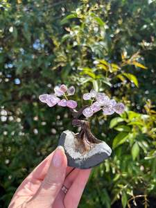 Amethyst Tree Medium B