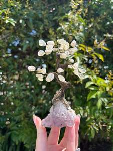 Rose Quartz Tree With Amethyst Base Large Tree A