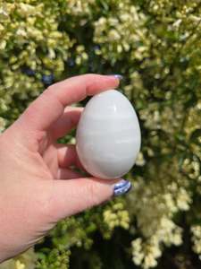 Eggs: Light Grey Marble Egg