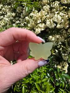 Carved Shapes Animals: Rainbow Fluorite Butterfly H