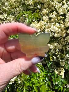 Rainbow Fluorite Butterfly A