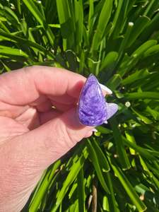 Charoite | Polished Sterling Silver Adjustable Ring B