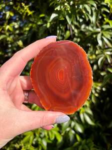 Slabs Slices: Agate Slice | Orange B