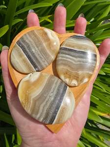 Zebra Calcite Medium Palm Stone