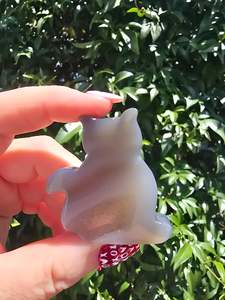 Animals: Natural Agate Druzy Small Cat E