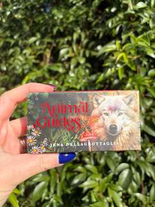 Animal Guide Cards