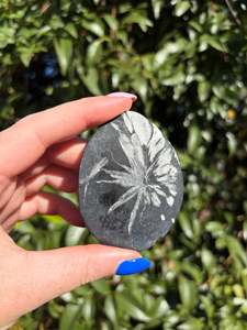 Palmstones: Chrysanthemum Stone Piece C