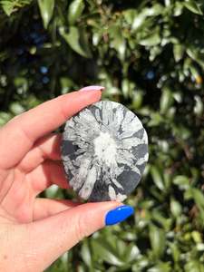 Palmstones: Chrysanthemum Stone Piece B