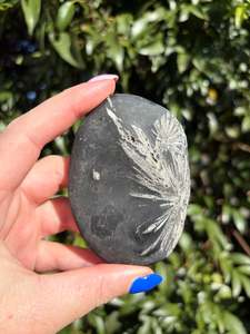 Palmstones: Chrysanthemum Stone Piece A