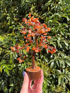 Other: Carnelian Crystal Tree Medium