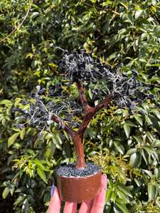 Other: Black Onyx Crystal Tree Large