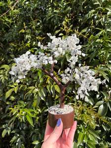 Other: Rainbow Moonstone Crystal Tree Large