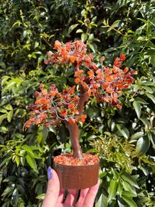 Carnelian Crystal Tree Large