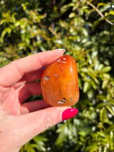 Tumbled Stones: Carnelian Tumbled Stone Large E