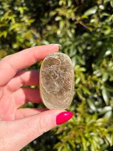 Palmstones: Golden Mica Palm Stone D