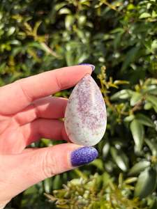 Pink Tourmaline Tear Drop A