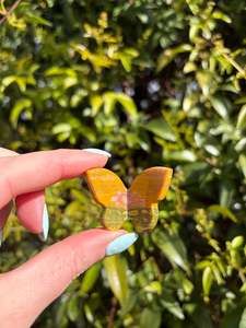 Carved Shapes Animals: Ocean Jasper Medium 3D Butterfly