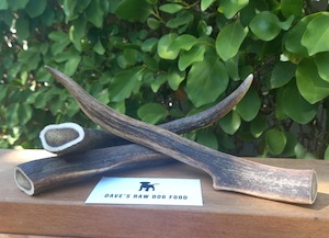 Vension: Deer Antler